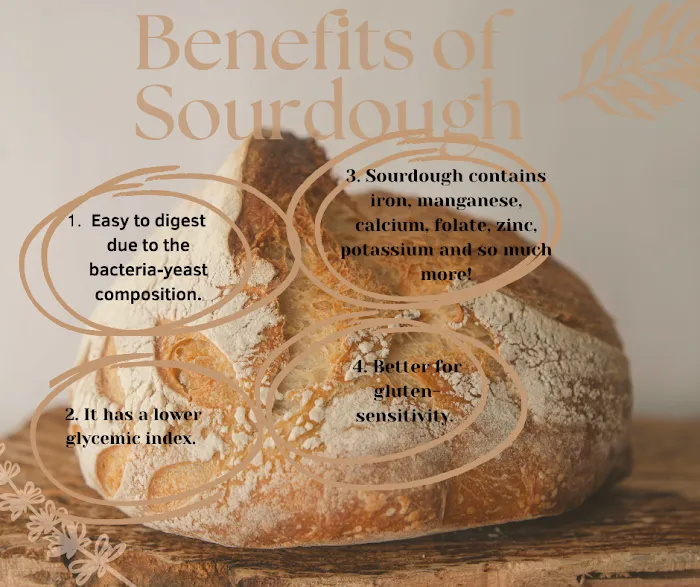 Salty Vibes Sourdough Picture 3