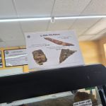 Medellín Bakery & Sandwich Shop of Tampa