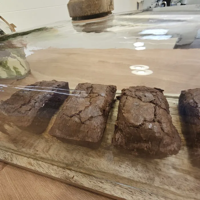 Tookies and Treats Picture 5