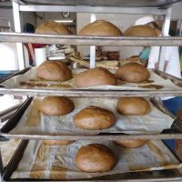 Giovanni's Bakery Inc ico
