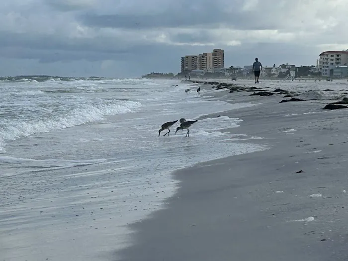 Clearwater beach Picture 7