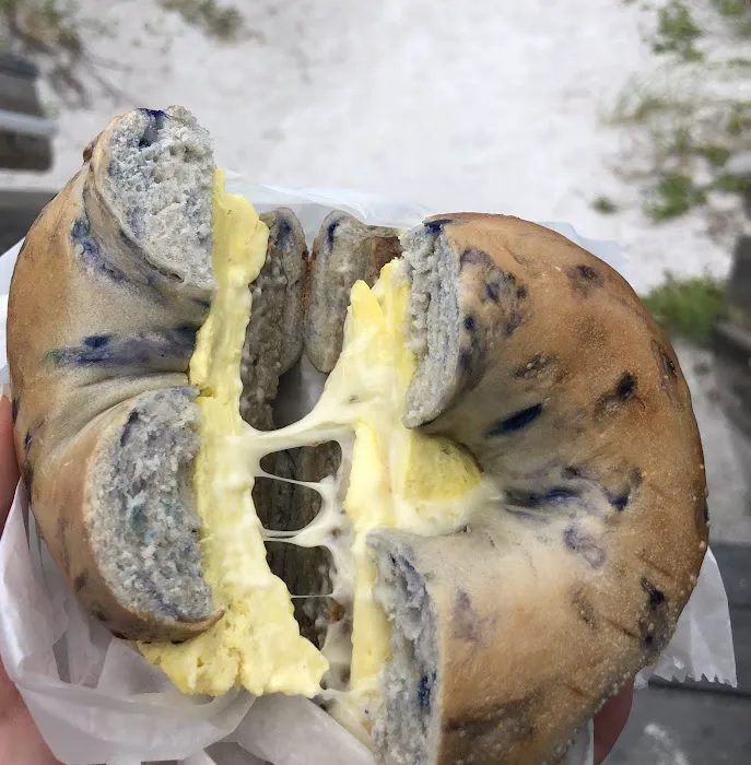 St. Pete Bagel Co. Picture 8