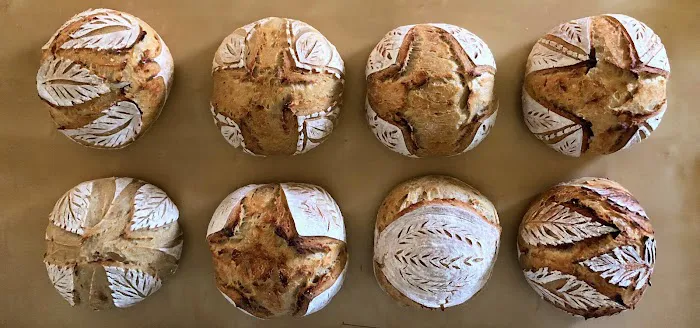 McBride Sourdough Company Picture 1