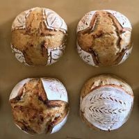 McBride Sourdough Company ico