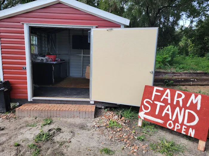 Hinkley's Farm Stand Picture 4