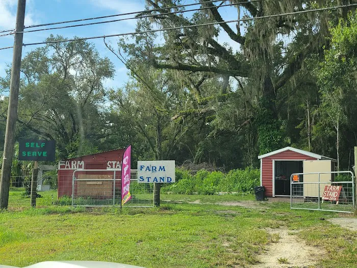 Hinkley's Farm Stand Picture 7