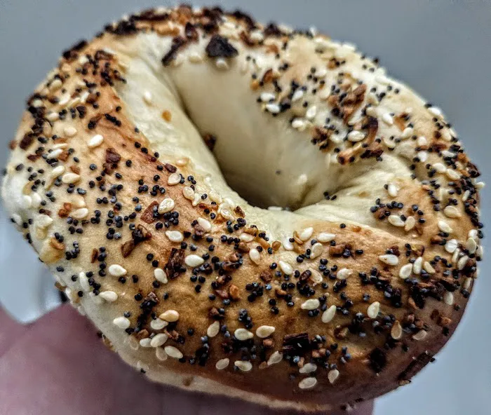 St. Pete Bagel Co. Picture 7