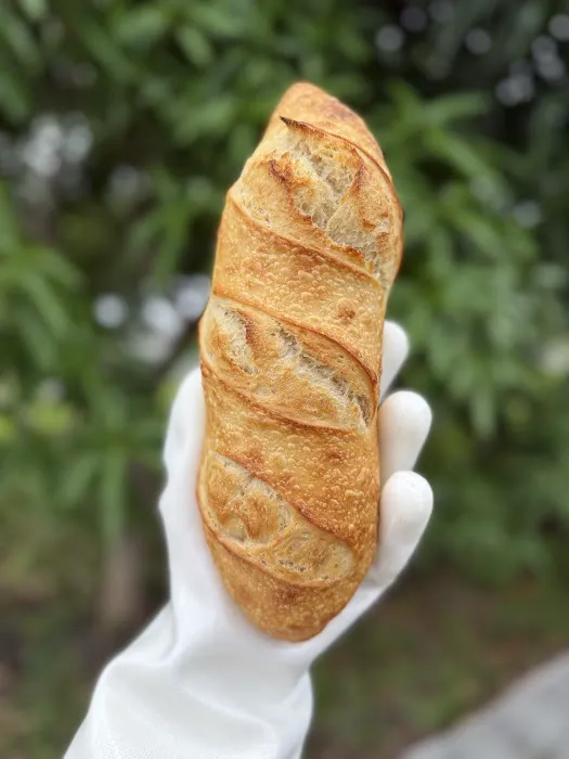 Sarka’s Daily Bread Picture 9