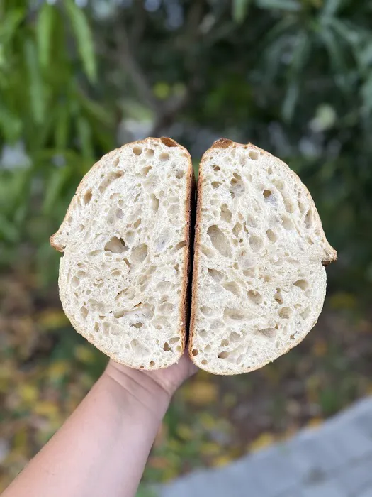 Sarka’s Daily Bread Picture 1