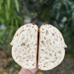Sarka’s Daily Bread