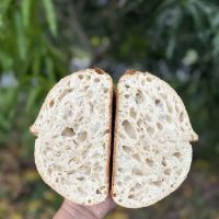 Sarka’s Daily Bread ico