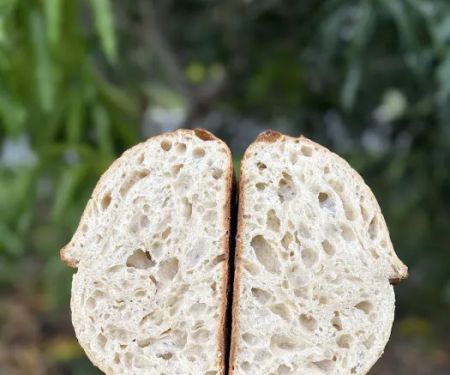 Sarkau2019s Daily Bread
