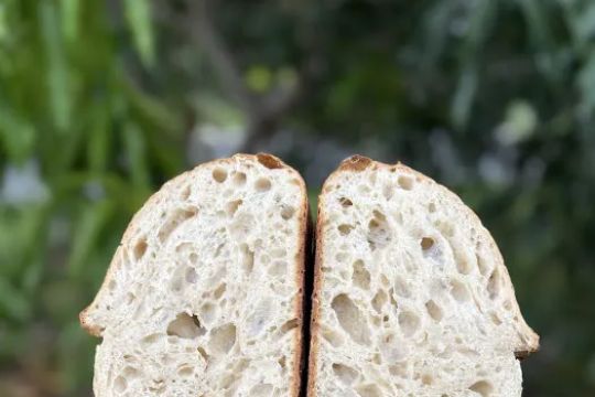Sarkau2019s Daily Bread