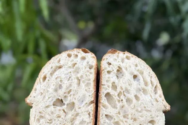 Sarka’s Daily Bread