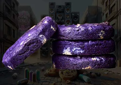 Cookie Plug Picture 5