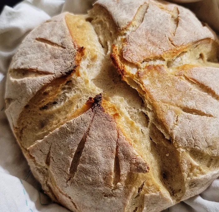 Loaves in Motion Picture 5