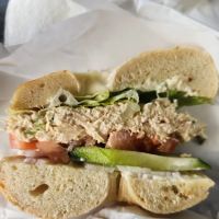 Saratoga Bagels ico