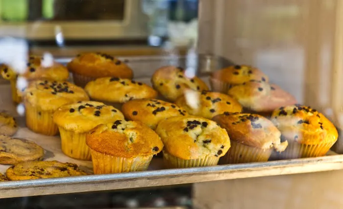 Saratoga Bagels Picture 6