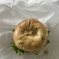 House of Bagels ico