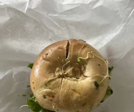 House of Bagels