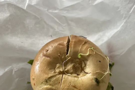 House of Bagels