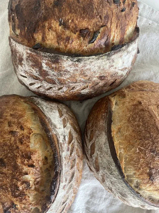 The Bagel Studio Picture 1
