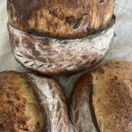 The Bagel Studio