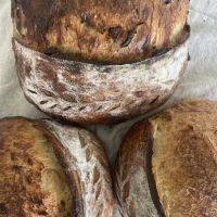 The Bagel Studio ico