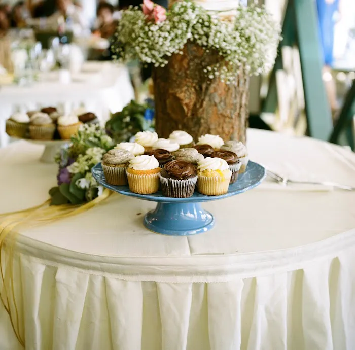 Minicakes by Tasha Picture 2