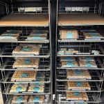 Oasis Baklava