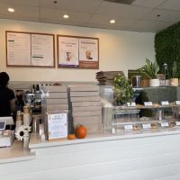Bloom Bagels ico