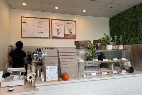 Bloom Bagels