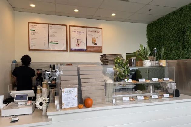 Bloom Bagels