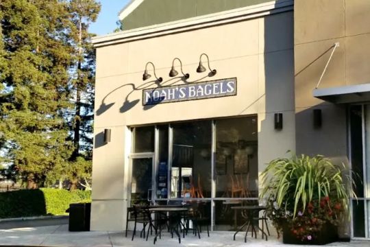 Noah's NY Bagels