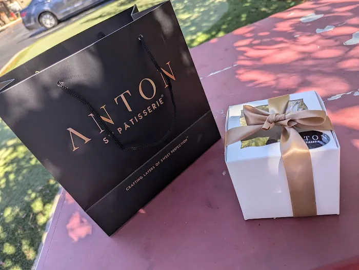 Anton Picture 2