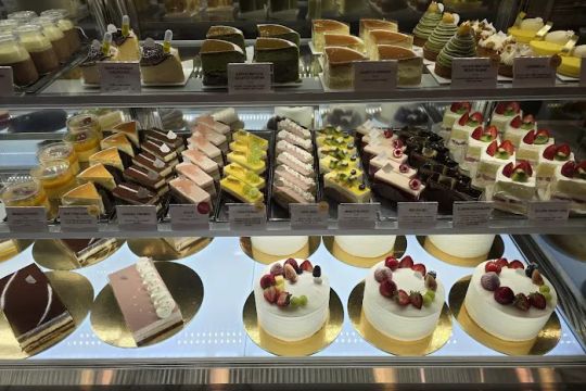 Satura Cakes
