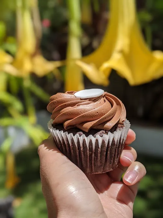 Kara’s Cupcakes Palo Alto Picture 1