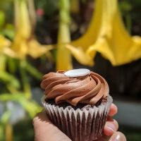 Kara’s Cupcakes Palo Alto ico