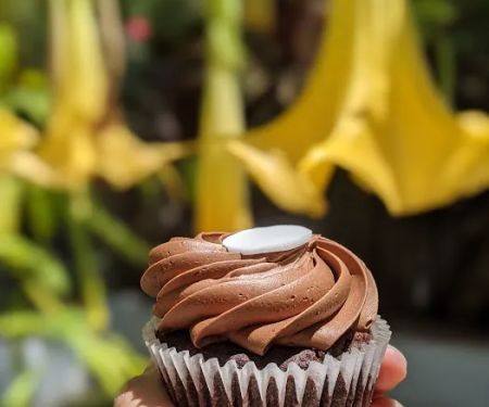 Karau2019s Cupcakes Palo Alto