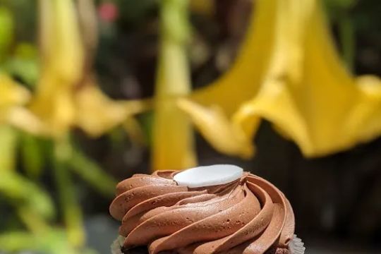 Karau2019s Cupcakes Palo Alto