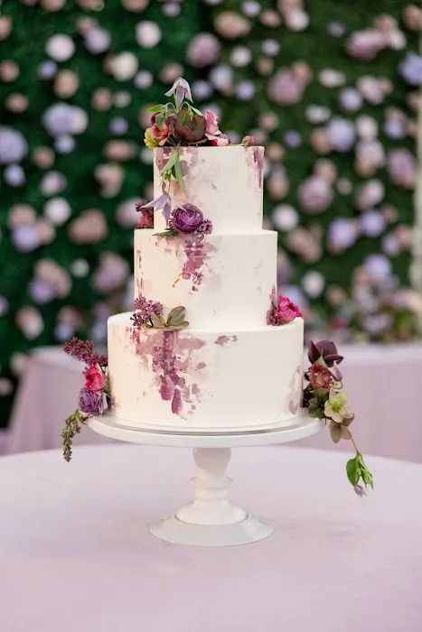 Studio Cake Picture 1