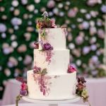 Studio Cake