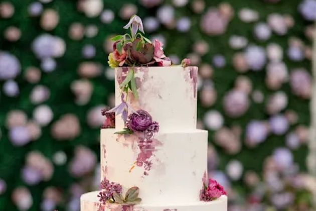 Studio Cake