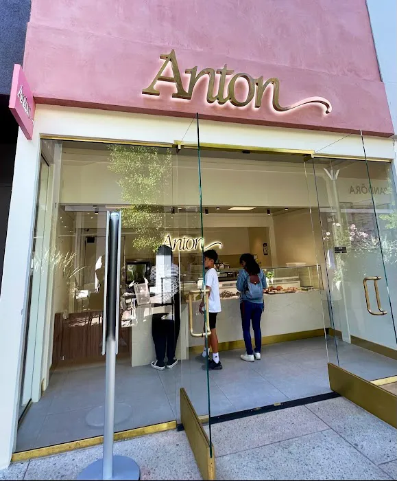Anton Picture 4