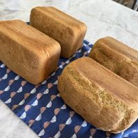 Maya's Gluten Free ico