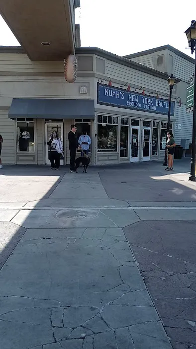 Noah's NY Bagels Picture 4