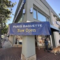 Paris Baguette ico