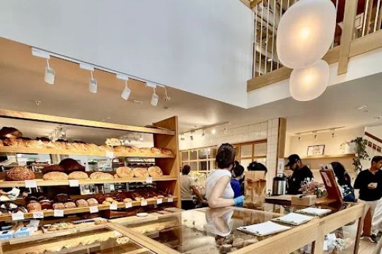 Backhaus | Burlingame