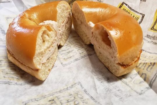 Old School Bagel Cafe
