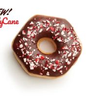 Shipley Do-Nuts ico
